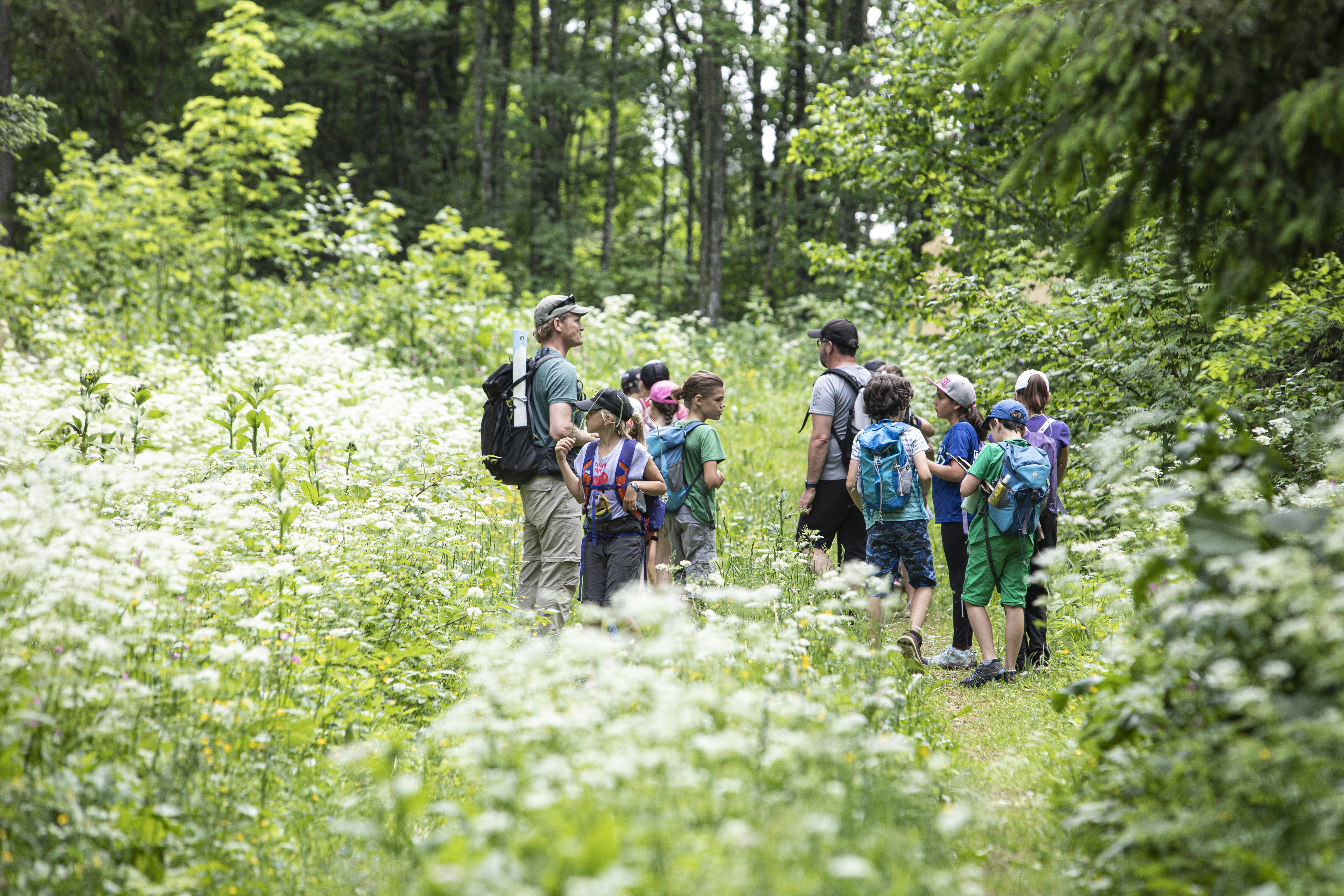 Die Natur als Klassenzimmer