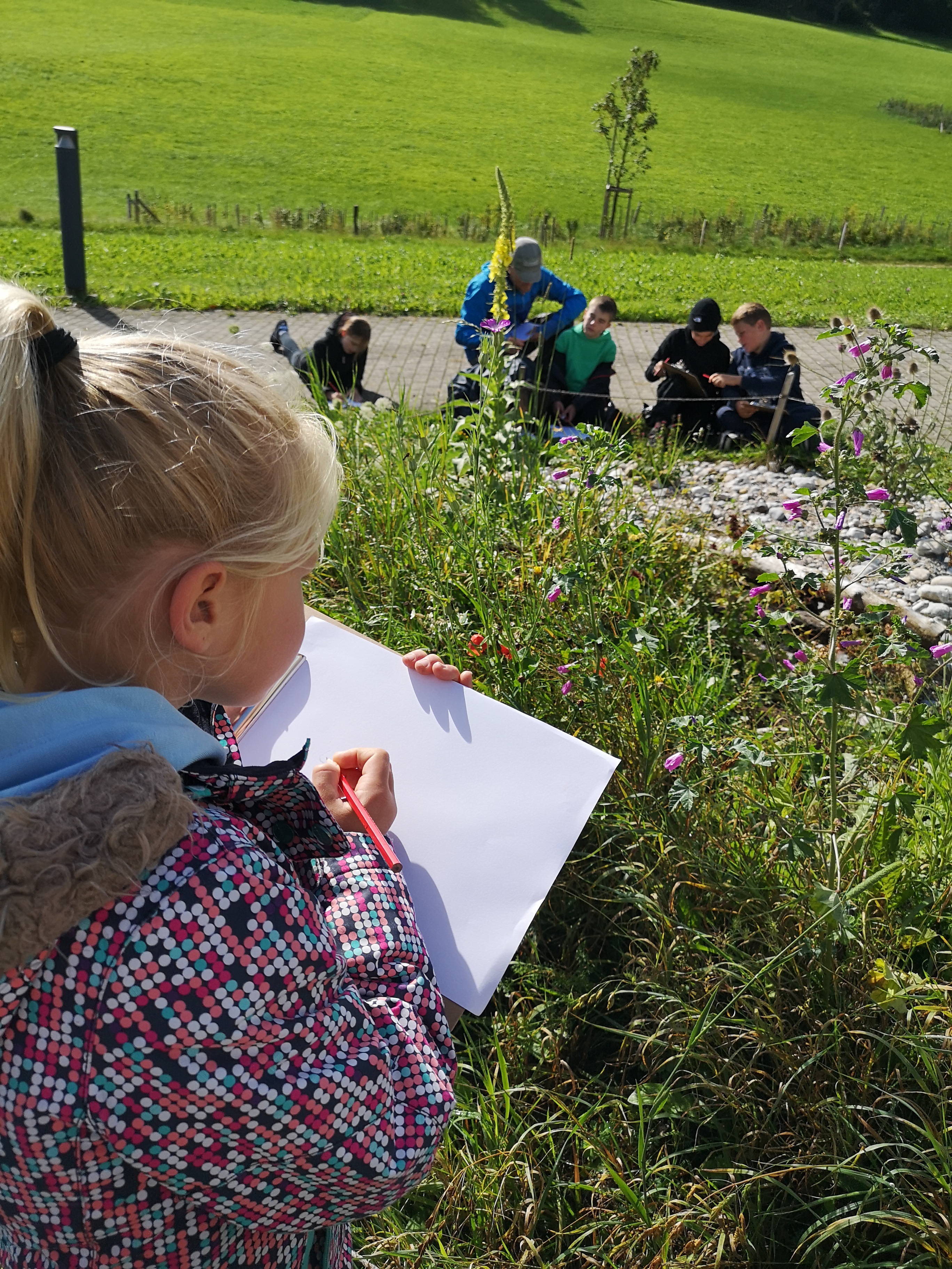 Graines de chercheurs 2026–2027 : inscriptions ouvertes