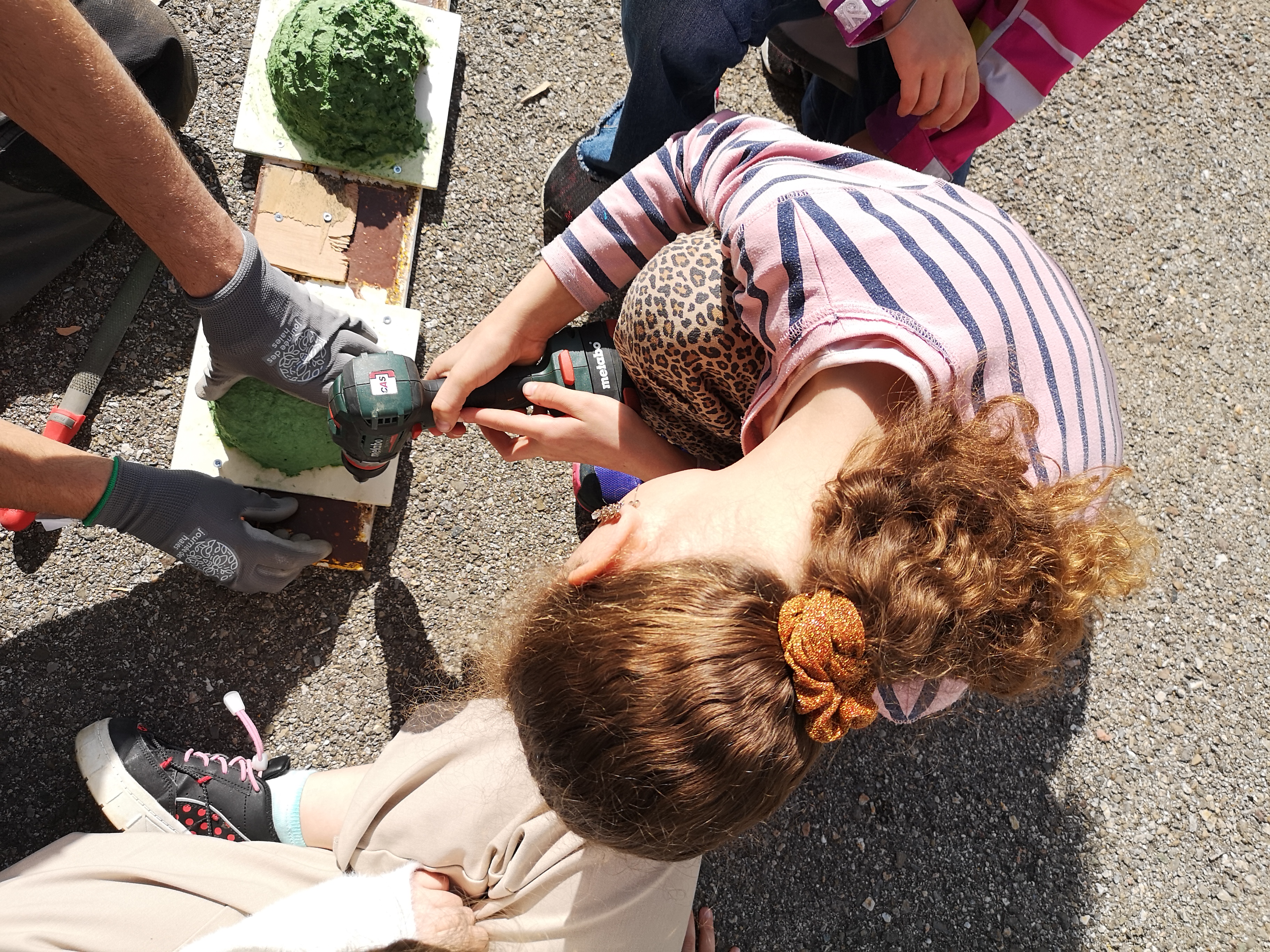 Des élèves engagés pour la biodiversité à Orvin