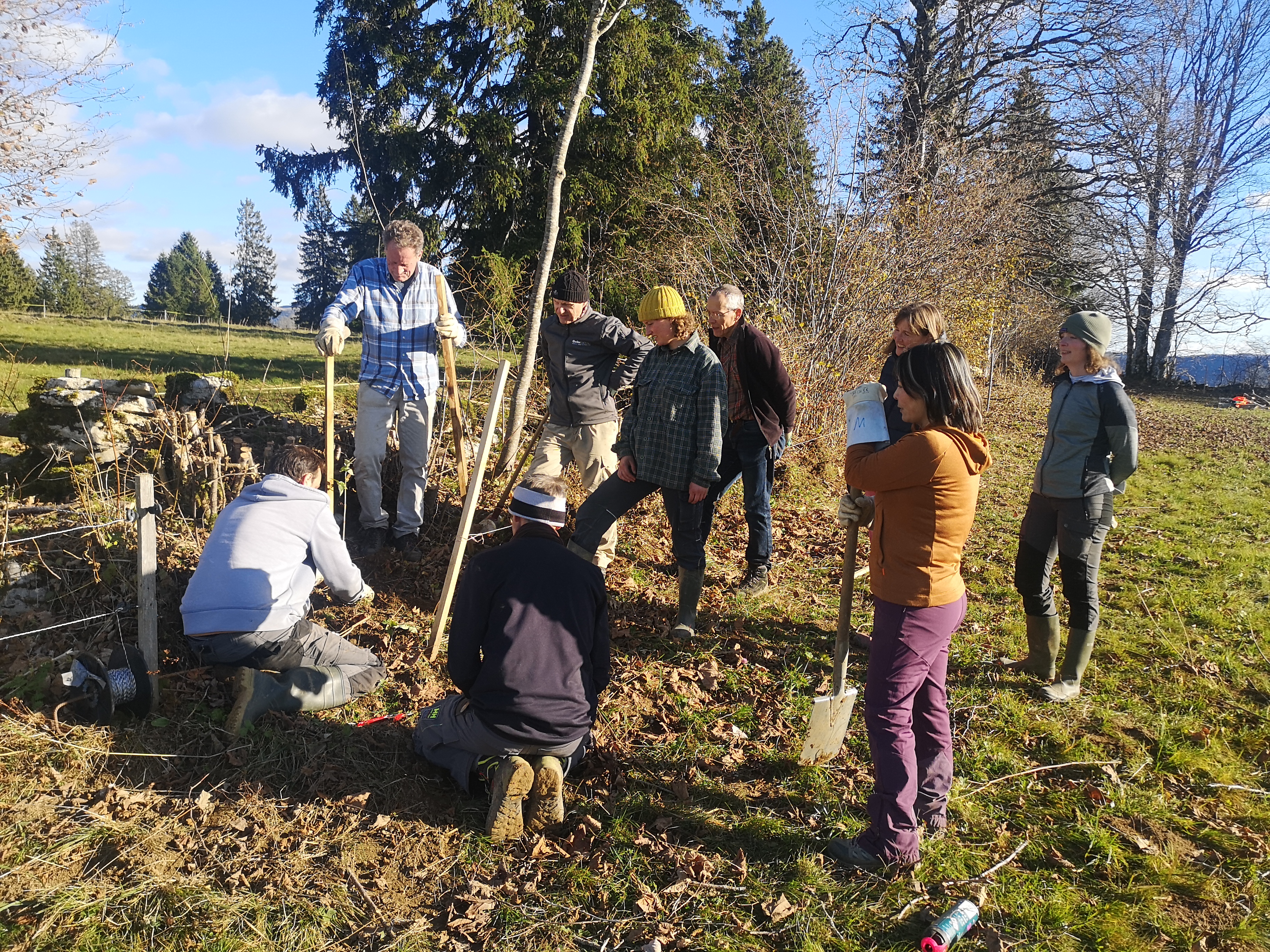 Bénévoles mobilisés pour une haie plus diversifiée
