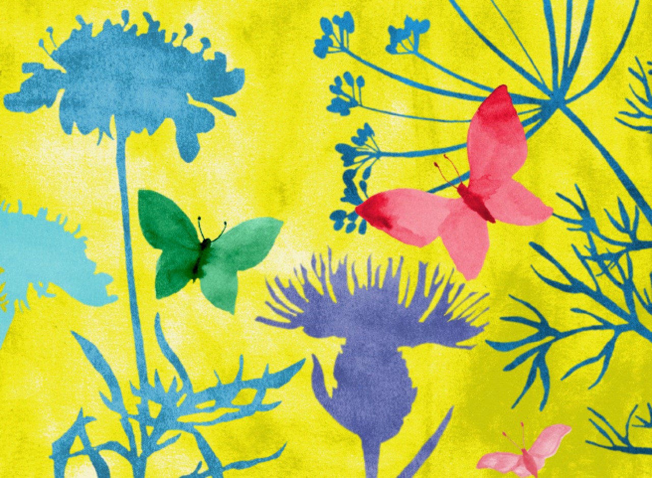 Informationsabend: Schmetterlingskorridor rund um den Bielersee