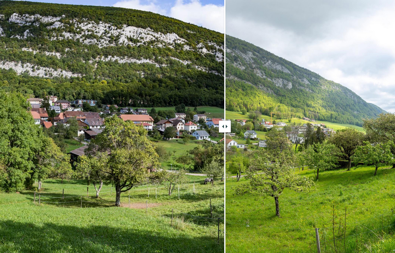 Ceinture de vergers haute-tige à Orvin