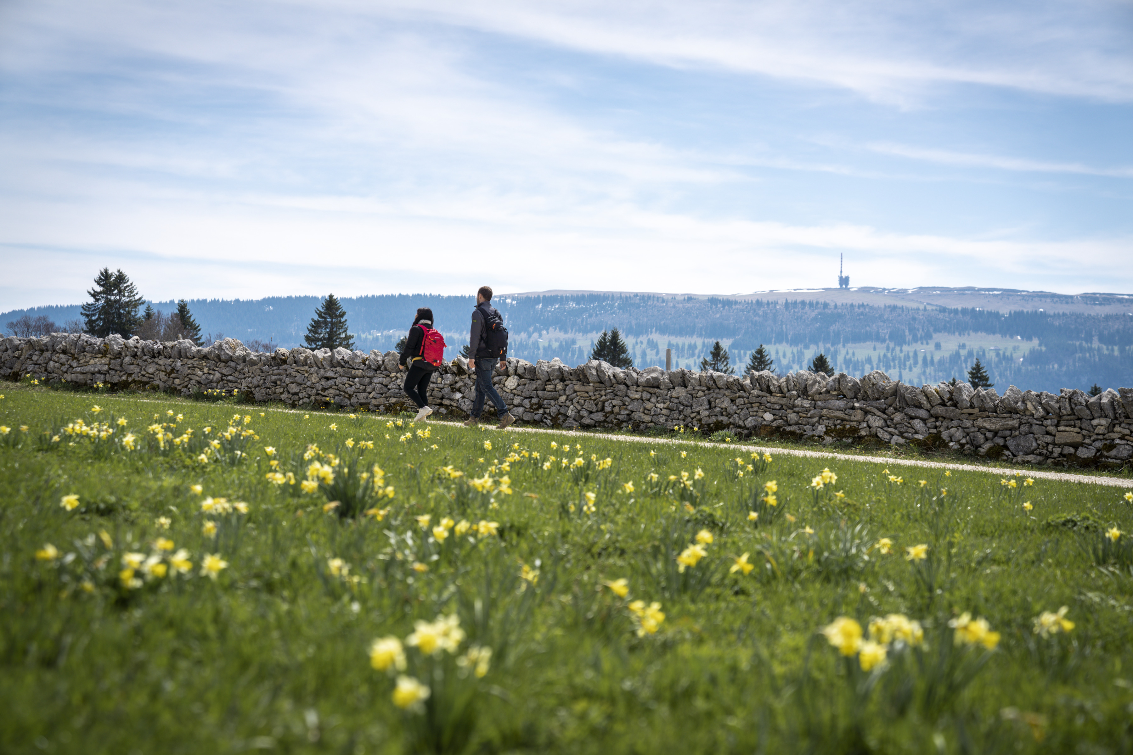 Savurando startet am 20. Mai in die neue Saison